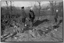 Austrian hussars collecting their dead in Galicia