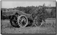 Field piece camouflaged with mat of chicken wire and woven grass