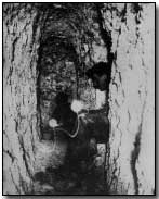 French sappers tunneling beneath German lines