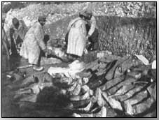 Russian mass grave