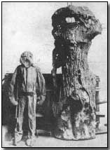 Captured German sniper's suit and armoured observation post