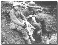 Wounded German prisoners, Menin Ridge Road