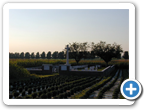 Wieltje Farm Cemetery